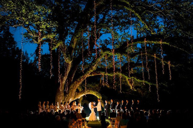 Wedding Magic with Twinkle Lights ~ we ♥ this! moncheribridals.com