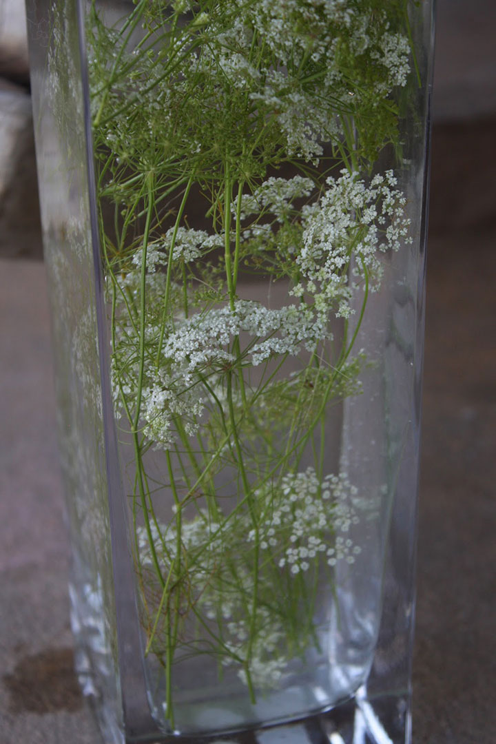 Submerged Baby's Breath for a Winter Wedding