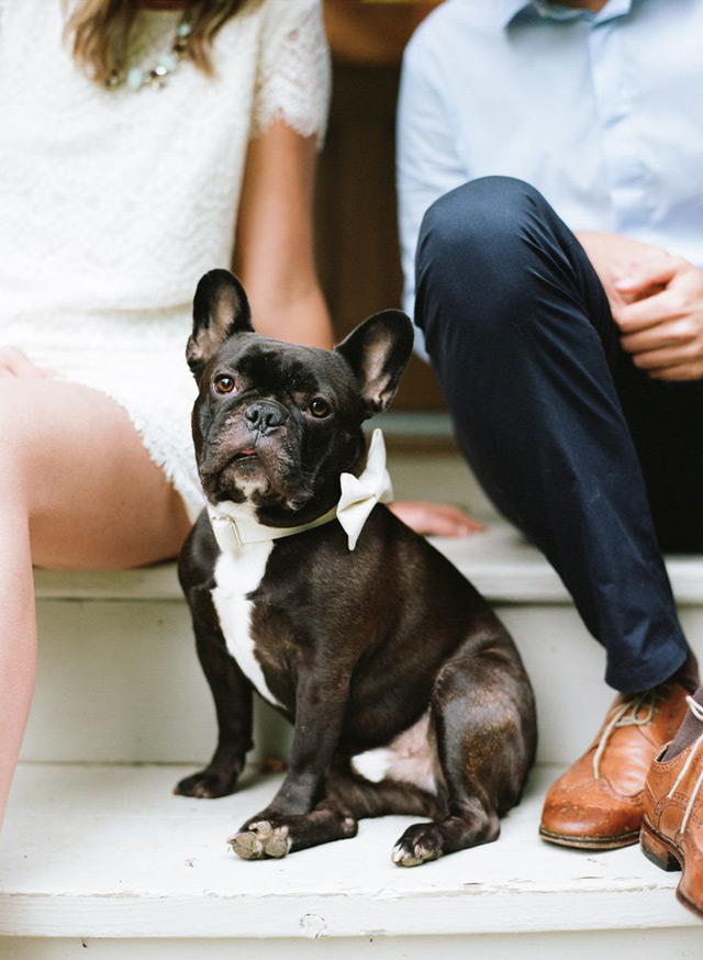 21 Oh So Adorable Engagement Photos with Dogs ~ we ♥ this! moncheribridals.com